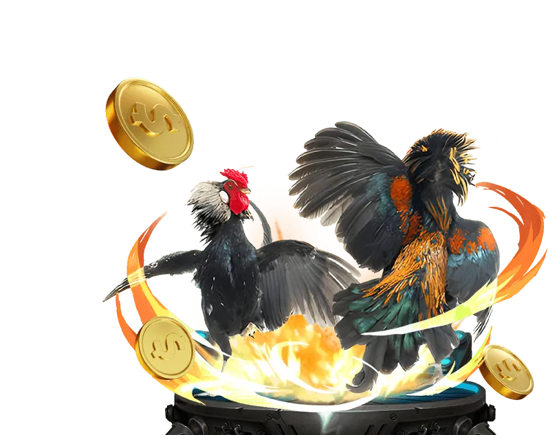 Máy chủ bảo mật xử lý dữ liệu người dùng tại S666